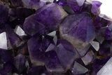 Deep Purple Amethyst Cluster - Congo #334603-2